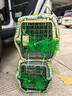 腆寵寵物航空箱小號 貓咪航空箱貓狗 貓包貓籠外出車(chē)載貓箱狗狗托運 曬單實(shí)拍圖