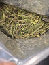首宴茶葉綠茶特級白茶安吉2025年新茶明前春茶自己喝袋裝口糧茶250g 曬單實(shí)拍圖