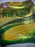 十月稻田 黃糯玉米 3.52斤(220g*8根) 25年新玉米 低脂 早餐零食 東北玉米 曬單實(shí)拍圖