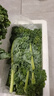 羽衣甘藍新鮮生鮮蔬菜嫩葉甘蘭芥藍西餐沙拉榨汁減肥減脂 羽衣甘藍減脂嘗鮮裝1斤 曬單實(shí)拍圖
