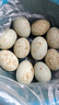 農(nóng)家散養(yǎng)鴨蛋新鮮生鴨蛋土鴨蛋綠殼青皮鴨蛋營養(yǎng)豐富 10枚 60g-70g 曬單實拍圖