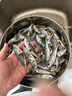 海鮮頌咸魚(yú)干即食熟巴浪魚(yú)干 福建特產(chǎn)小魚(yú)干海鮮干貨 鳀魚(yú)干 海魚(yú)干貨 黃尾巴浪魚(yú)干500g*2 曬單實(shí)拍圖