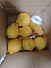 京鮮生 福建黃金葡萄柚8.5斤裝 單果400g起 生鮮水果柚子源頭直發(fā)包郵 曬單實(shí)拍圖