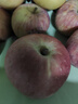 龍多鮮正宗天然冰糖心蘋(píng)果 丑蘋(píng)果 新鮮富士應季水果 送禮推薦 整9-10斤精選好果 約18-24個(gè) 凈8.5 曬單實(shí)拍圖