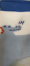 全棉時(shí)代兒童抗菌無(wú)骨縫男女襪子藍幾何+背帶熊+小汽車(chē)  12-14cm 曬單實(shí)拍圖