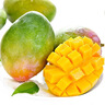 正宗臺芒海南小臺芒果新鮮熱帶水果非大臺應季農薄皮整箱當季批發(fā) 小臺芒帶箱1斤單果50-70克 曬單實(shí)拍圖