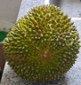 趣嘗鮮貓山王榴蓮馬來(lái)西亞D197液氮冷凍凈重3.2-3.6斤/個(gè) 曬單實(shí)拍圖