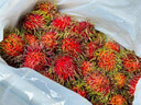 海南紅毛丹新鮮水果5斤毛荔枝毛丹果熱帶紅牡丹當季整箱順豐包郵 帶箱2斤裝 曬單實(shí)拍圖