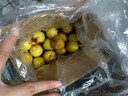 冰糖冬棗新鮮水果生鮮脆甜小糖丸沾化冬棗果園直發(fā)【多產(chǎn)地發(fā)貨】 整箱0.8-1斤 單果12g+中果 曬單實(shí)拍圖