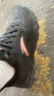 安踏女鞋運動(dòng)鞋女秋冬季新款皮面防潑水休閑跑步鞋女士戶(hù)外旅游鞋子女 【秋冬季皮面防潑水防】黑/玫瑰金 38.5 曬單實(shí)拍圖