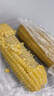 京鮮生東北黃玉米棒200g×8棒25年新玉米 真空黏玉米 多種包裝 源頭直發(fā) 曬單實(shí)拍圖