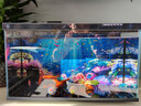 小米適配一代魚(yú)缸背景板貼紙裝飾畫(huà)亞克力高清卡通3D立體美學(xué) 光照海底生物*1 曬單實(shí)拍圖
