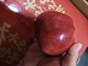 京鮮生天水花牛蘋(píng)果 凈重8斤 單果170g+ 生鮮水果源頭直發(fā) 曬單實(shí)拍圖