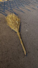 萬(wàn)佳益家 竹枝大掃把 學(xué)校環(huán)衛工廠(chǎng)庭院 大號竹掃把 一體式大掃把（3斤一把裝） 曬單實(shí)拍圖