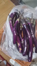 新鮮紫皮長(cháng)茄子當季茄子新鮮時(shí)令福建農家自種便宜蔬菜1-5斤批發(fā) 3斤 當天現摘 無(wú)藥水 放心購 曬單實(shí)拍圖