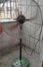 志高電風(fēng)扇落地扇工業(yè)風(fēng)扇電扇豪華型牛角扇大功率工業(yè)扇強力除甲醛升降大風(fēng)力電風(fēng)扇工廠(chǎng)牛角扇 FS-65豪華款落地扇【彎刀葉 升降款 質(zhì)?！?曬單實(shí)拍圖