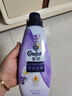 金紡高能護衣精華柔順劑雪松白桃蒼蘭玫瑰700g*3+300g款式香型隨機發(fā) 曬單實(shí)拍圖
