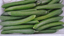 三個(gè)零云南產(chǎn)新鮮水果黃瓜小青瓜健身輕食沙拉蔬菜拇指爽口脆甜 三個(gè)零一休靚瓜新鮮水果黃瓜 2斤 水果小黃瓜【2斤】 曬單實(shí)拍圖