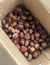 京喜加丹東新鮮板栗糖炒栗子原料糯甜板栗可生吃新鮮蔬菜生鮮 丹東鮮板栗 2斤 送栗爪 曬單實(shí)拍圖