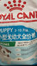 皇家狗糧 幼犬狗糧 寵物 小型犬 MIJ31 全價(jià)犬糧 2-10月 2KG 曬單實(shí)拍圖