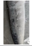 彈指鮮生 挪威青花魚(yú) 大西洋鯖魚(yú) 冷凍鮐鲅魚(yú)固形物≥80% 生鮮 魚(yú)類(lèi)青魚(yú) 1袋裝  6片 凈重920g 曬單實(shí)拍圖