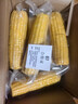 京鮮生 東北黃玉米260g*10棒 真空包裝黏玉米棒粘玉米 源頭直發(fā) 曬單實(shí)拍圖
