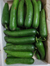 山東壽光水果黃瓜生吃脆新鮮荷蘭青瓜當季無(wú)刺小黃瓜源頭直發(fā) 精品水果黃瓜凈重 4.5斤 曬單實(shí)拍圖