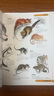 斯坦威（STANDWAY）【精裝正版大開(kāi)本】動(dòng)物王國：中國科學(xué)院動(dòng)物研究所·國家動(dòng)物博物館專(zhuān)家審校推薦！ 曬單實(shí)拍圖