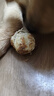 狗狗零食果蔬樂(lè )芙咕嚕球潔齒磨牙大中小型犬訓練獎勵耐咬牛皮蛋黃 小號（2寸）2只裝（單只約50g） 3包（買(mǎi)2送1 免費1包 ） 曬單實(shí)拍圖