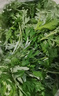 艾草新鮮食用清明草艾蒿當季蔬菜生艾草葉艾粄糍粑青團現摘嫩艾葉 2500g 曬單實(shí)拍圖