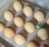 京鮮生柴雞蛋30枚 3斤 無(wú)抗生素 谷物喂養鮮雞蛋 源頭直發(fā) 曬單實(shí)拍圖
