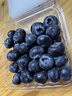 吧唧果當季云南藍莓鮮果進(jìn)口花香藍莓寶寶輔食護眼水果 12/果徑16mm以下/凈重100g/盒 曬單實(shí)拍圖