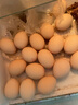 德青源A級(jí)鮮雞蛋32枚2.74斤起無(wú)抗生素 谷物喂養(yǎng)  營(yíng)養(yǎng)早餐家庭禮盒 曬單實(shí)拍圖