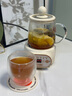 小南瓜養生壺多功能全自動(dòng)煮茶器迷你家用燒水壺電熱水壺恒溫壺茶壺家電茶壺燒水器煎藥壺煮水壺玻璃壺 頂配款【配濾網(wǎng)+杯墊+勺子】 0.5L 曬單實(shí)拍圖
