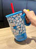 小莊青年正版哆啦A夢(mèng)陶瓷冰霸杯家用高顏值可愛(ài)風(fēng)學(xué)生上班族大容量吸管杯 【藍色】哆啦A夢(mèng)冰霸杯 曬單實(shí)拍圖