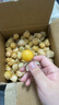 東北姑娘果新鮮當季水果黃菇娘燈籠果酸甜可口甜菇娘特產(chǎn)京東包郵 【帶箱3斤】?jì)糁?.6斤 曬單實(shí)拍圖