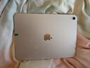 【99成新】Apple/蘋(píng)果 iPad11英寸 A16芯片2025年款 平板電腦 (128GB WLAN版/學(xué)習辦公娛樂(lè ))銀色 曬單實(shí)拍圖