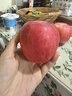 正宗煙臺蘋(píng)果棲霞紅富士脆甜新鮮水果整箱生鮮蘋(píng)果水果 凈重4.5斤75mm 曬單實(shí)拍圖