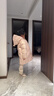 高梵黑金兒童鵝絨服5.0長(cháng)款加厚男女小童精靈帽寶寶保暖羽絨服外套 YT棉花粉 130 【充絨量 149g】 曬單實(shí)拍圖