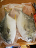 翔泰 海南金鯧魚(yú)凈重900g 2條裝  魚(yú)類(lèi)生鮮 火鍋食材 海鮮水產(chǎn)  曬單實(shí)拍圖