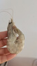 鮮京采 原裝進(jìn)口厄瓜多爾白蝦 凈重3.3斤 大號30-40規格 50-66只/盒 曬單實(shí)拍圖