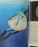 中國國家地理到深海去 海洋生物科普讀物深海探索之旅 曬單實(shí)拍圖