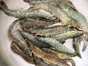 鮮活大海白蝦300g（約12-18只） 曬單實拍圖