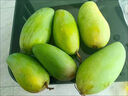 顧果鮮芒果新鮮廣西大青芒當季熱帶時(shí)令孕婦水果青皮甜心青芒果 5斤 精選大果【單果250-400g】 曬單實(shí)拍圖