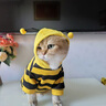 JCZS貓咪衣服秋冬款蜜蜂裝銀漸層布偶英短起司小型犬寵物保暖狗狗衛衣 黃色小蜜蜂 S(建議3-5斤 參考胸圍背長(cháng)) 曬單實(shí)拍圖