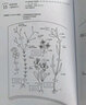 【官方旗艦店】刺繡物語:大自然的饋贈 刺繡書籍 刺繡花圖案書樣板基礎入門進階教材教程鉤針手工編織書籍 創(chuàng)意花樣基礎入門毛衣編織教程編繩教程編織技法花樣鉤針編織書大全 曬單實拍圖