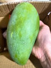味果生大青芒新鮮水果當季熱帶甜心芒果青皮金煌大芒果現摘整箱 5斤 精選特大果【400-500g】 曬單實(shí)拍圖