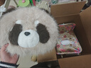 高端水貂絨國寶大熊貓熱水袋充電式暖水袋暖手寶暖寶寶送女生禮物 棕色國寶大熊貓+熱水袋+充電器 曬單實(shí)拍圖