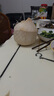 水果碼頭泰國進(jìn)口香水奶椰天然椰子椰青 單果900g 水果碼頭進(jìn)口香水椰1粒裝送吸管 曬單實(shí)拍圖