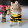 JCZS貓咪衣服秋冬款蜜蜂裝銀漸層布偶英短起司小型犬寵物保暖狗狗衛衣 黃色小蜜蜂 S(建議3-5斤 參考胸圍背長(cháng)) 曬單實(shí)拍圖
